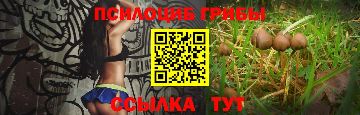 Галлюциногенные грибы прущие грибы  Вход с VPN  Янаул  Галлюциногенные грибы Cubensis 